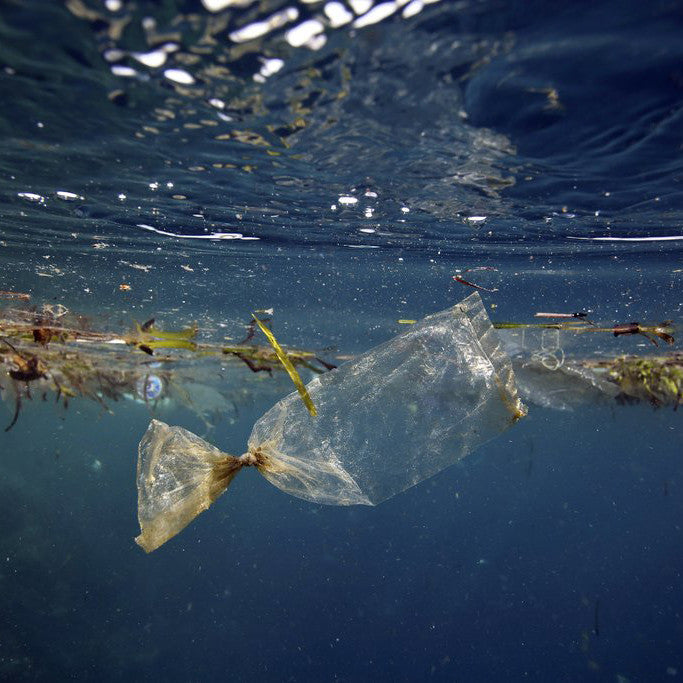 Plastic packet floating in the ocean